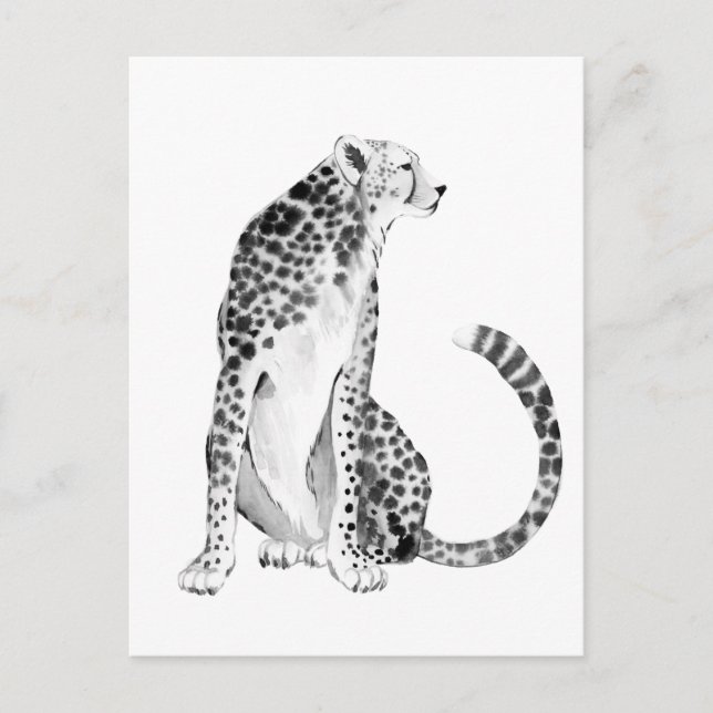 Postal Chrome Cheetah (Anverso)