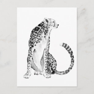 Postal Chrome Cheetah
