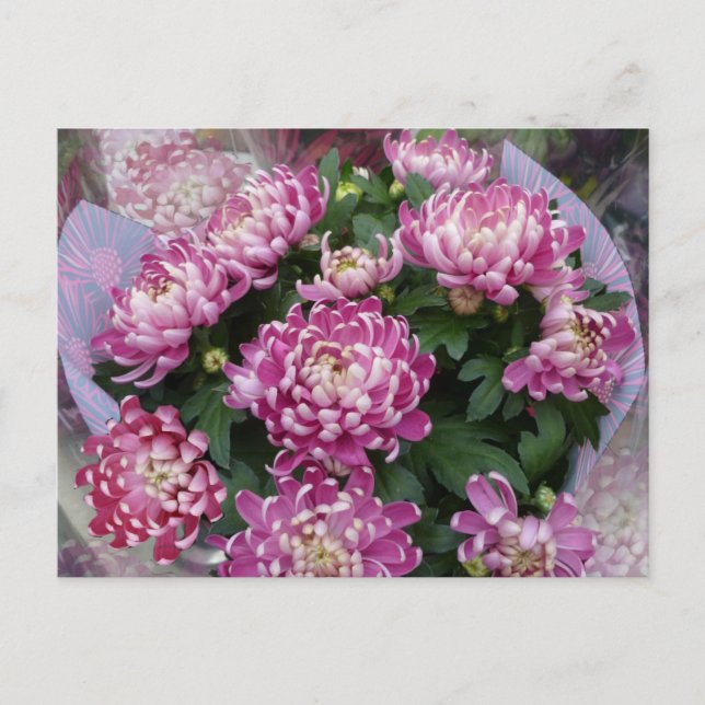 Postal Chrysanthemum Bouquet (Anverso)