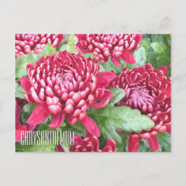 Postal Chrysanthemums horizontales