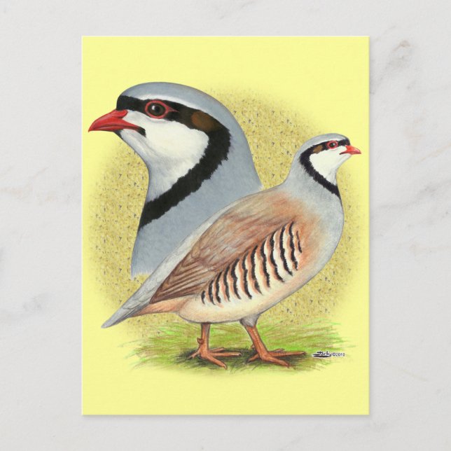 Postal Chukar Partridge Combo (Anverso)