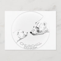 Churchill Souvenirs Polar Bear Art Camisetas y Reg