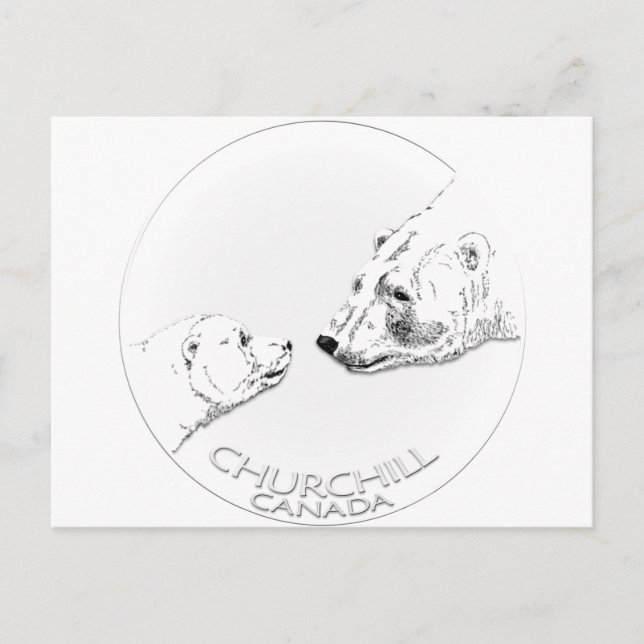 Postal Churchill Souvenirs Polar Bear Art Camisetas y Reg (Anverso)