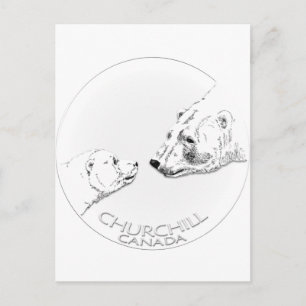 Postal Churchill Souvenirs Polar Bear Art Camisetas y Reg