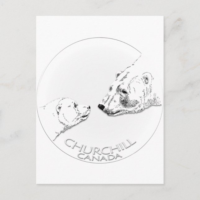 Postal Churchill Souvenirs Polar Bear Art Camisetas y Reg (Anverso)