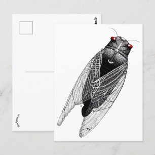 Postal Cicada