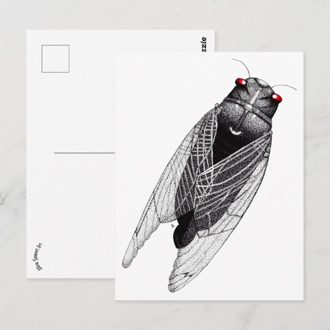 Postal Cicada (Anverso / Reverso)