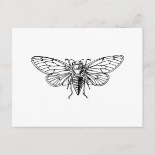 Postal Cicada