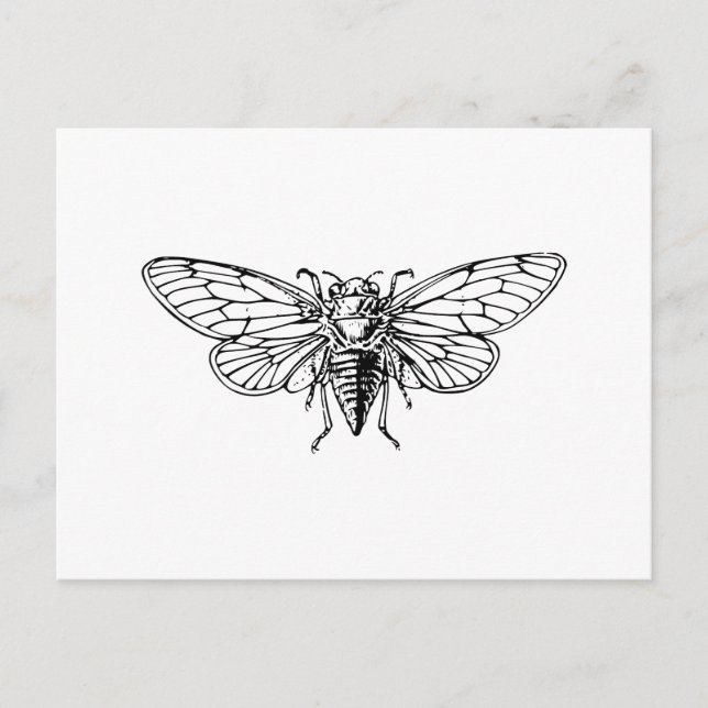 Postal Cicada (Anverso)