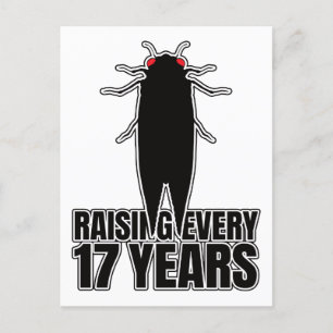 Postal Cicadas Cicada Zombie Bugs - Entomology Geek