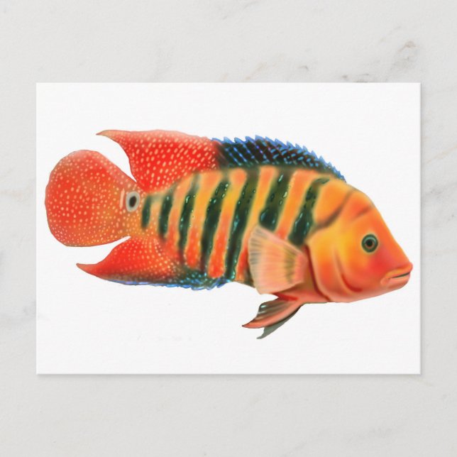 Postal Cichlid de Terror Rojo (Anverso)