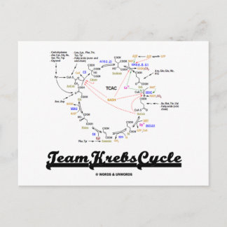 Postal Ciclo de Krebs de equipo (Ciclo de Ácido Cítrico -