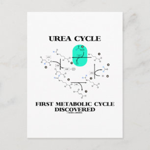 Postal Ciclo de urea primer ciclo metabólico descubierto