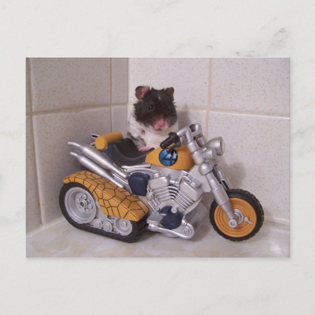 Postal ciclo noah (Anverso)