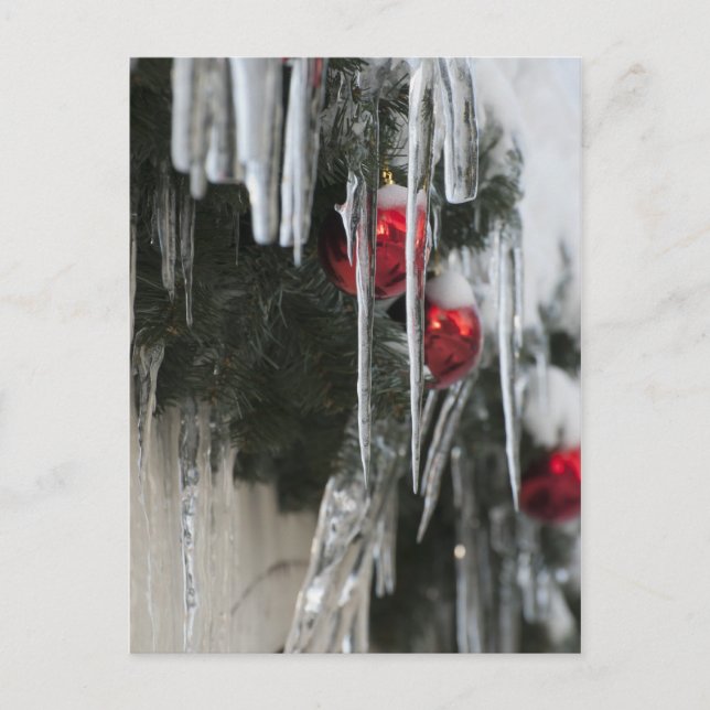 Postal Ciclos (Anverso)