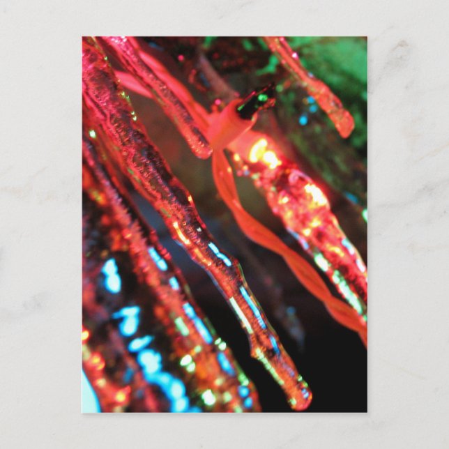 Postal Ciclos (Anverso)