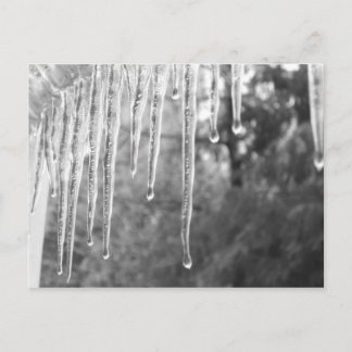 Postal Ciclos de hielo