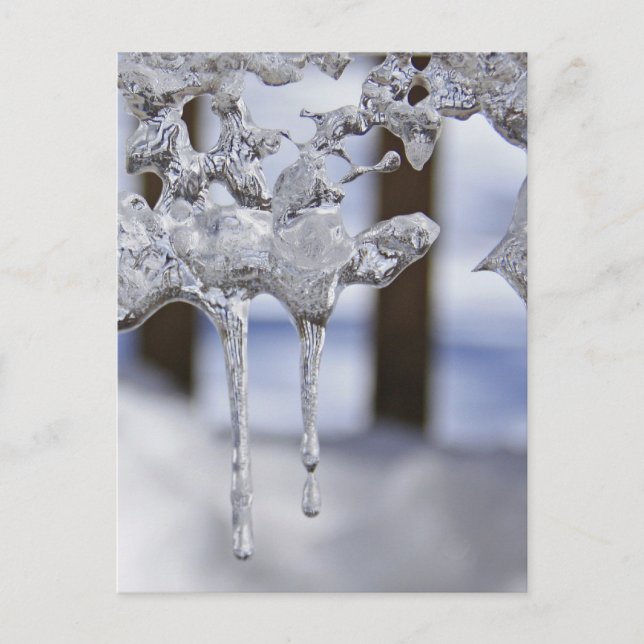 Postal Ciclos de primavera (Anverso)