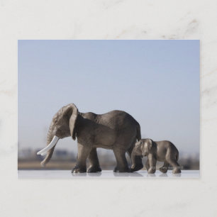 Postal Cielo azul de fondo de la familia Elephant