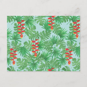 Postal Cielo de la jungla