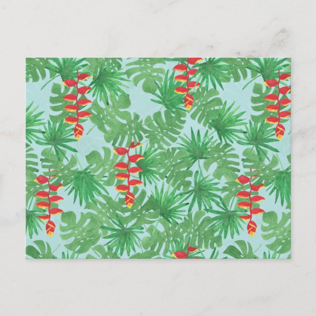 Postal Cielo de la jungla (Anverso)