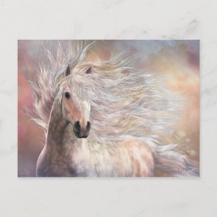 Postal Cielo Postcard