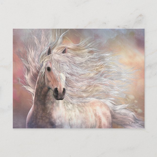 Postal Cielo Postcard (Anverso)