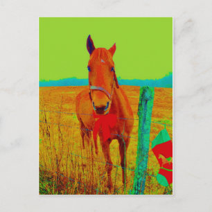 Postal Cielo verde, arco rojo Caballo : añadir nombre