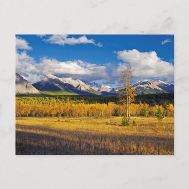 Postal Cielos azules y nubes sobre un prado (Anverso)