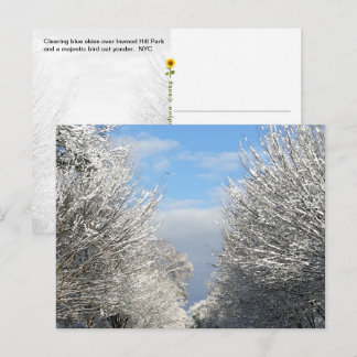 Postal Cielos despejados y vientos a favor, NYC -