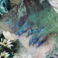 Cientos de pavos reales delatan el goble