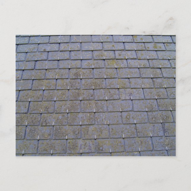 Postal Cierre De Azulejos Con Lichos (Anverso)