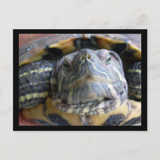 Postal Cierre de Belka