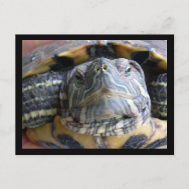 Postal Cierre de Belka (Anverso)