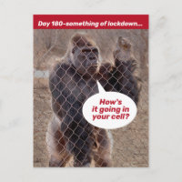 Cierre De La Cárcel De Gorilas Durante El Refugio