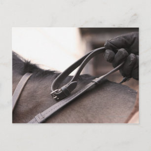 Postal cierre de las riendas de la mano del caballo