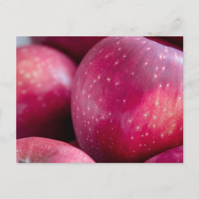 Postal Cierre de manzanas rojas (Anverso)