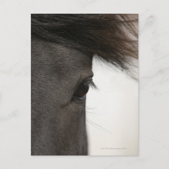 Postal Cierre de ojos y pelo de caballo (Anverso)