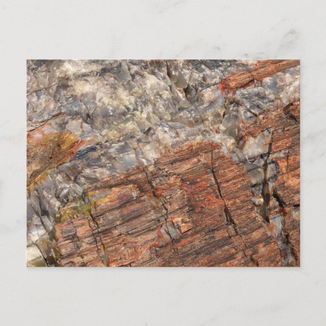 Postal Cierre de registro de Petrificados I (Anverso)