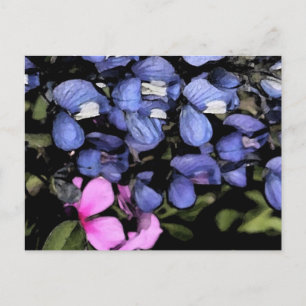 Postal Cierre de Texas Bluebonnets