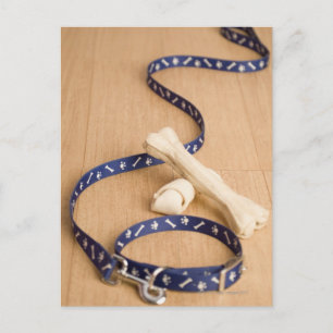 Postal Cierre de un collarín de mascotas y correa con per