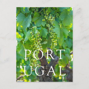 Postal Cierre De Uvas De Madera