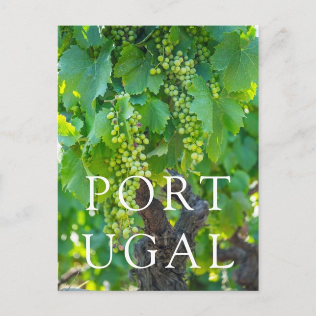 Postal Cierre De Uvas De Madera (Anverso)