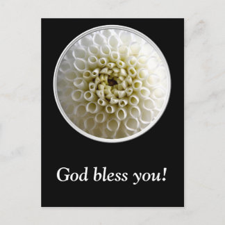 Postal Cierre de White Dahlia