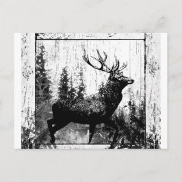 Postal Ciervo de Caza Antiguo Animal Blanco Negro