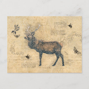 Postal Ciervo Decoupage Ephemera Antigüedad