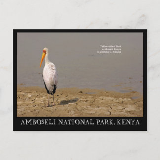 Postal Cigüeña con billetera amarilla, Parque Nacional Am
