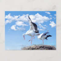 Cigüeñas en el cielo