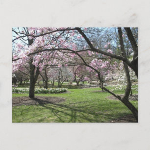 Postal Cincinnati en el parque del Edén, Ohio en primaver