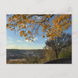 Postal Cincinnati Park View Postcard
